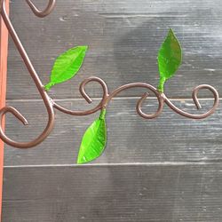 Leaf Plant Holder