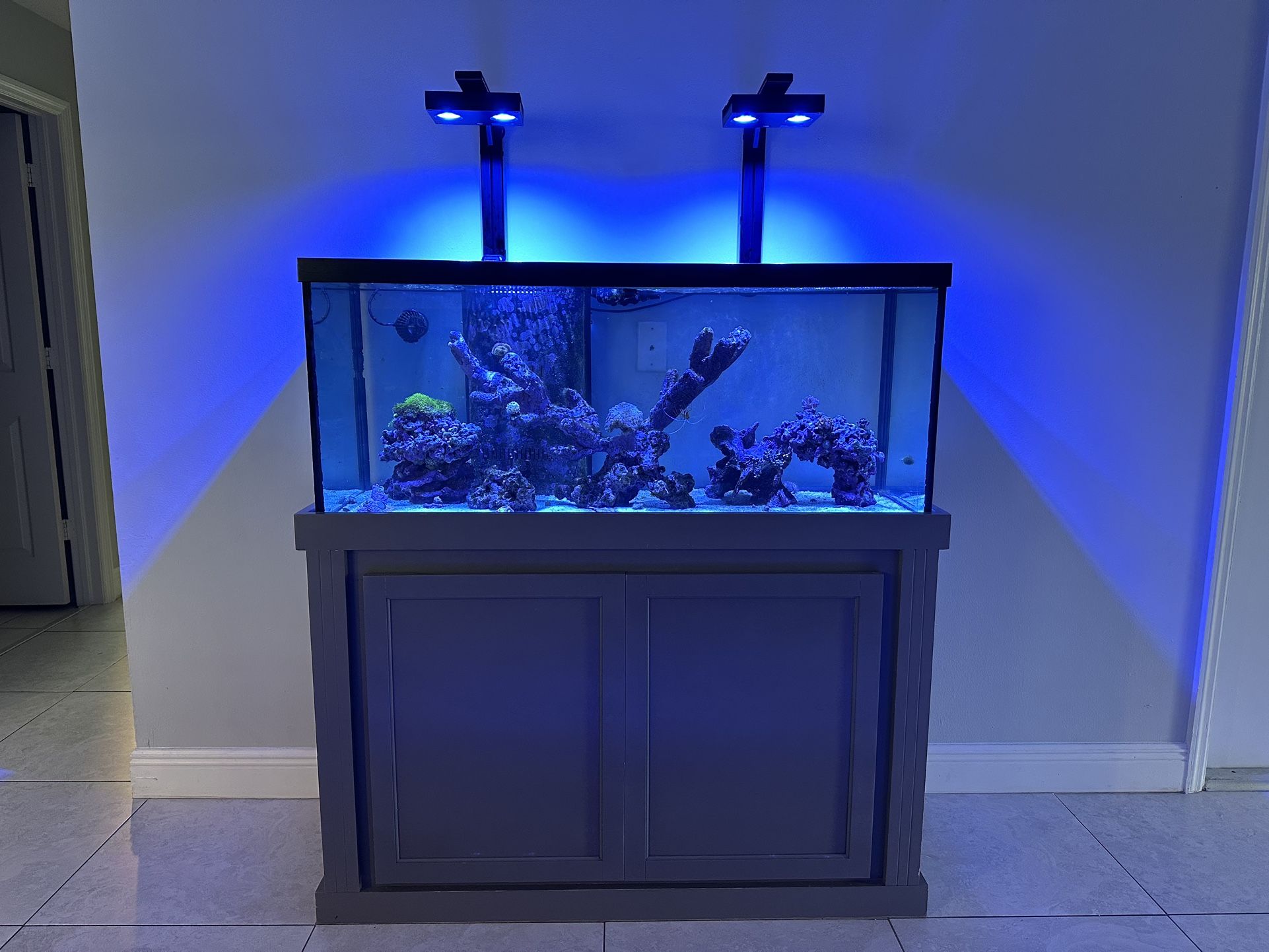 Complete 85-Gallon Reef Tank Setup – Fully Equipped – High-End System!