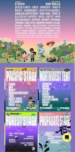 Fvded in the Park festival Vancouver 2x VIP 2-day