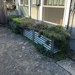 Free Galvanized Planter - You Haul