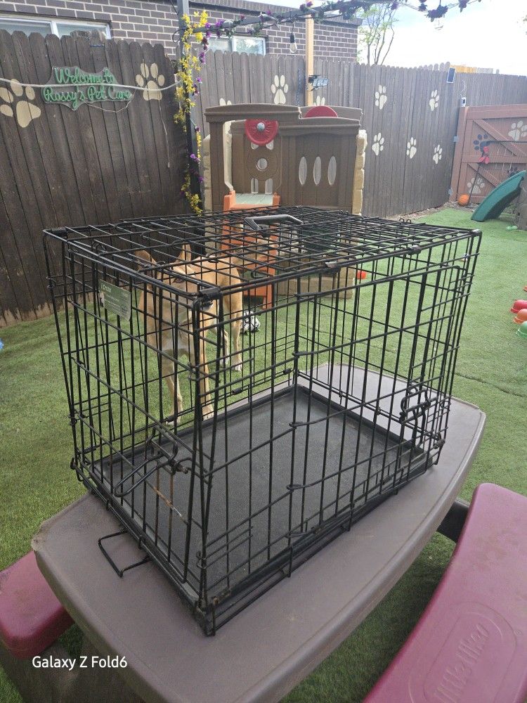 MidWest Homes for Pets Newly Enhanced Single & Double Door iCrate Dog Crate, Includes Leak-Proof Pan, Floor Protecting Feet, Divider Panel & New Paten