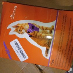 Car Harness With Leash Set