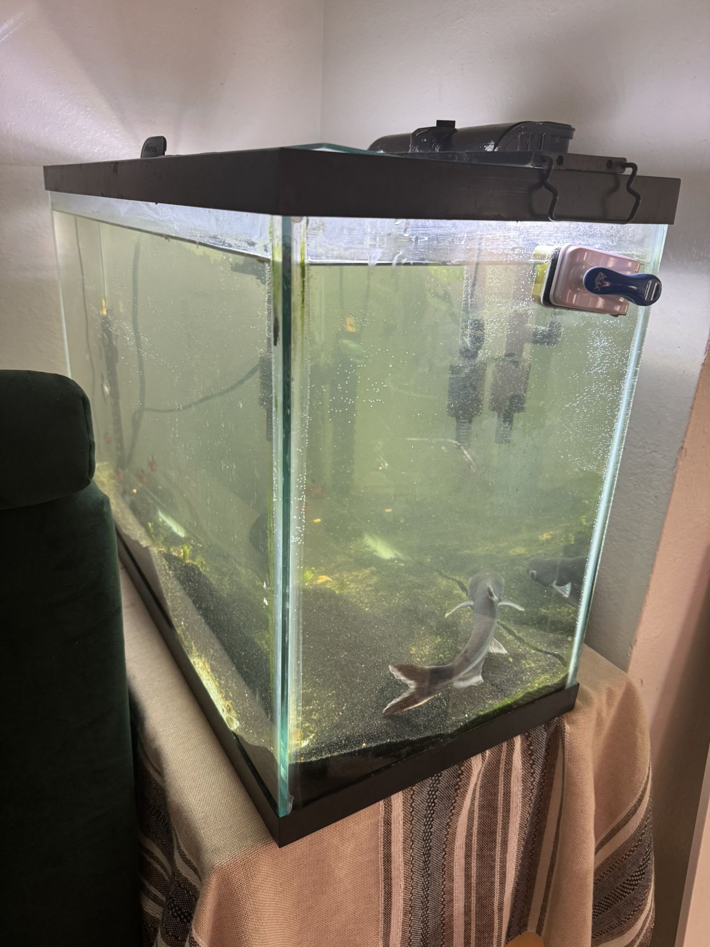 Fish Tank With Accessories