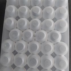 Plastic Egg Cartons 