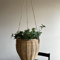 Hanging Wicker Plant Holder + Fake Leaf Plant!
