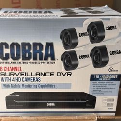 Surveillance Cameras