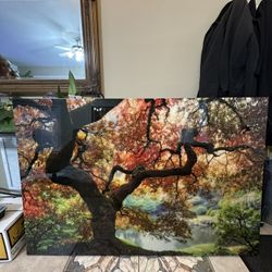 Wall Art 