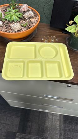 Silite lunch trays