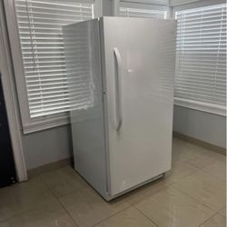 Upright Freezer 