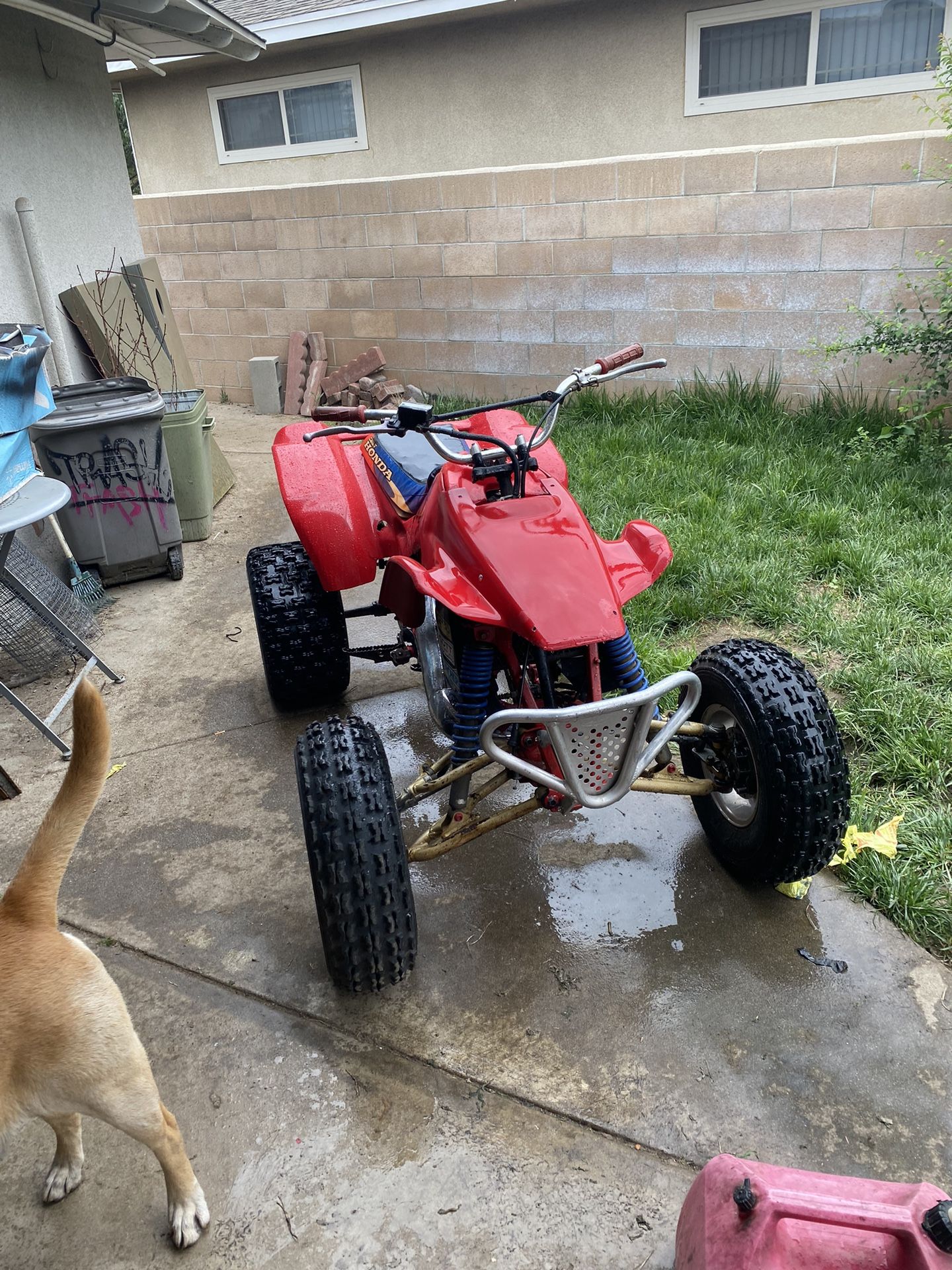 1986 Honda Fourtrax trx250r