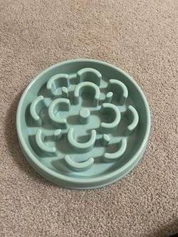 dog bowl