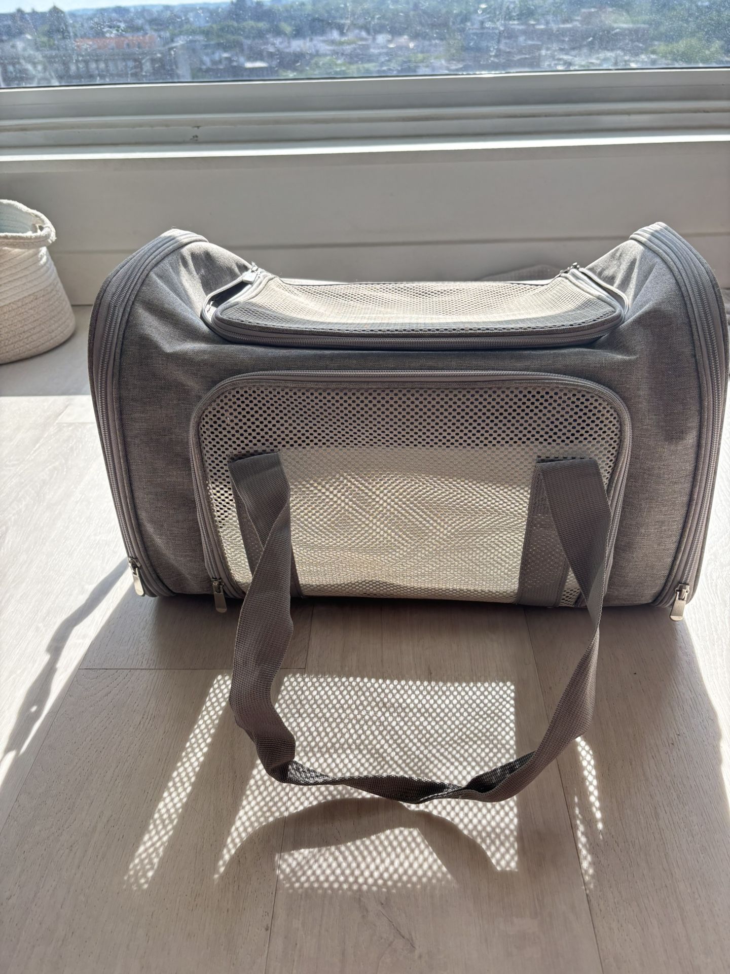 Small Pet Travel Carrier