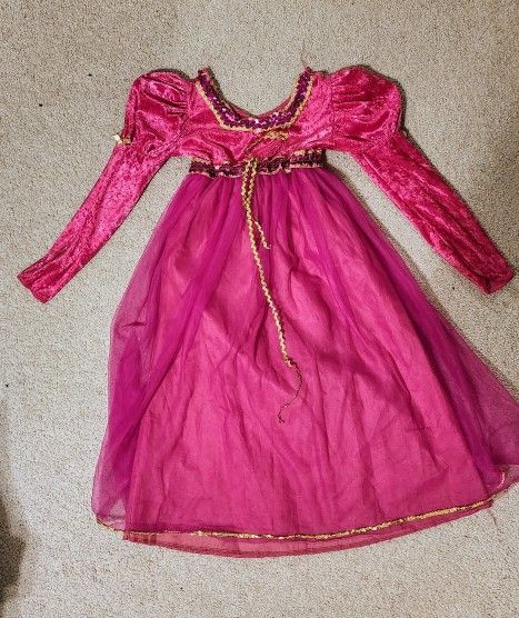 Princess Dress / Halloween Costume