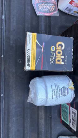Ram fuel filter