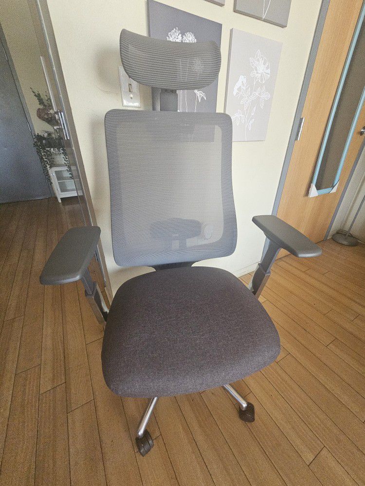 Colamy Atlas Fully-adjustable Ergonomic Chair