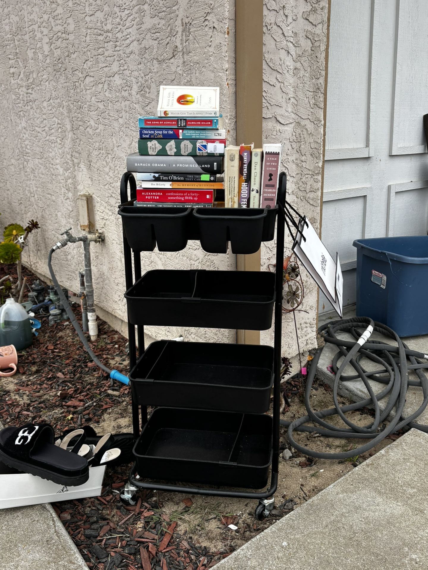 Lash Cart/ Storage Cart