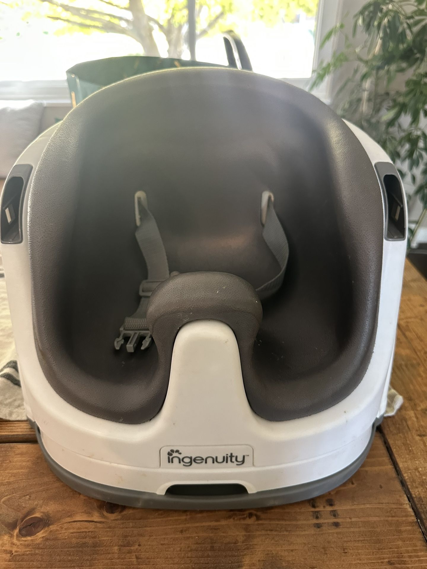 Ingenuity Booster Seat