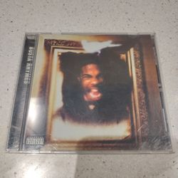 Busta Rhymes The Coming Album 