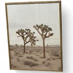 Large framed Joshua Tree desert landscape print