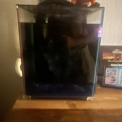 Fish Tank 