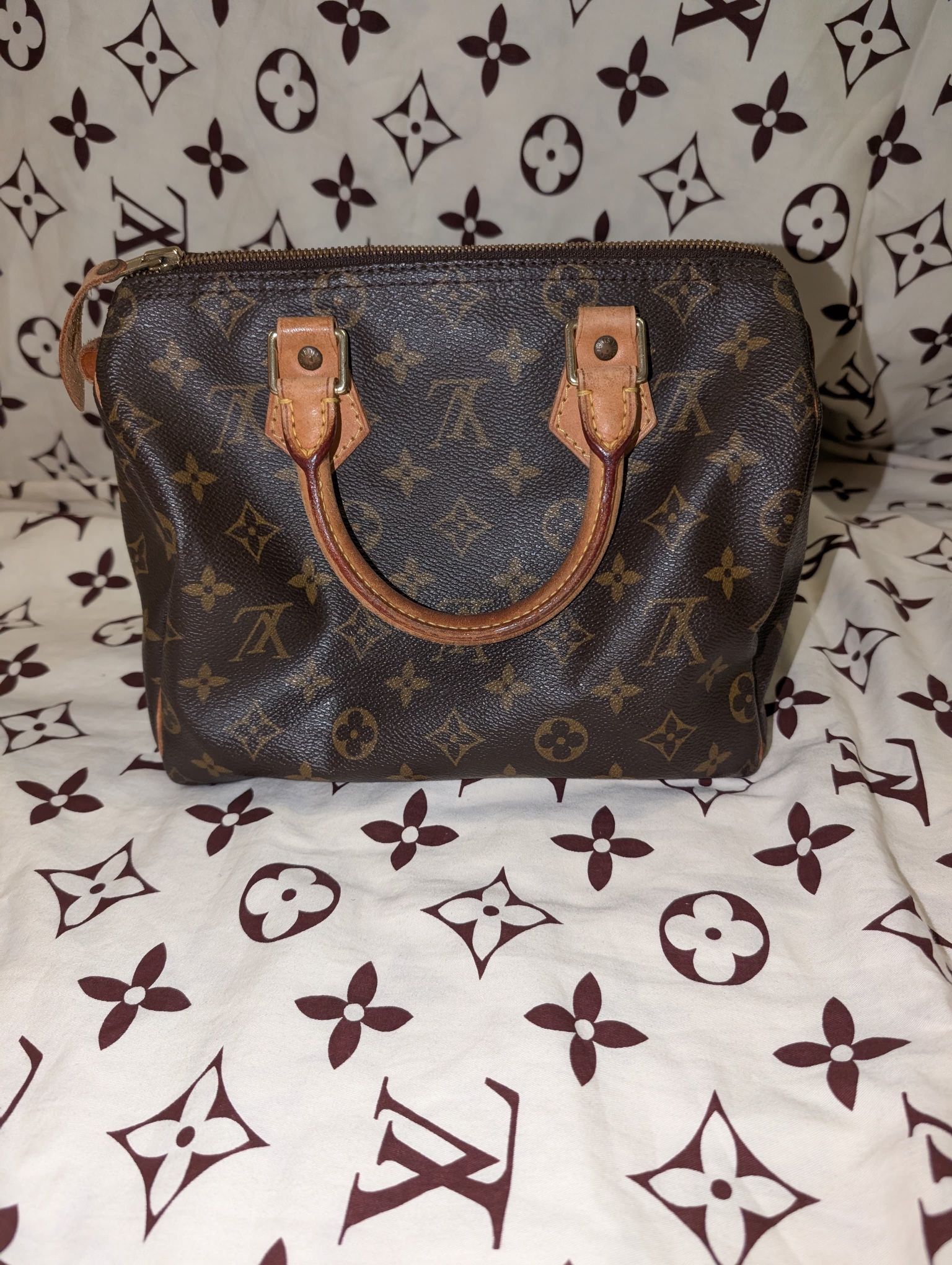 Louis Vuitton Speedy 25 Ebene Monogram Coated Canvas Bag
