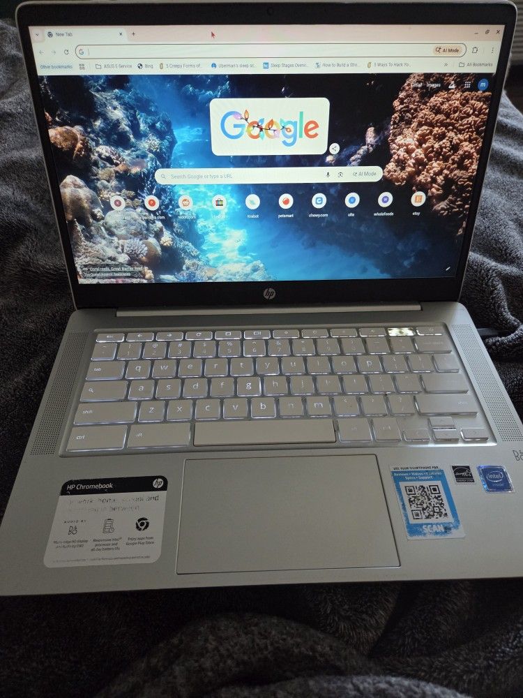 Hp Chromebook 