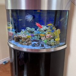 Fish Tank 78 Gallon Tank Turn Key Everything Included In Picture 