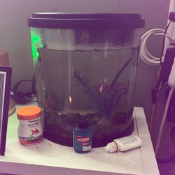 3 Gallon Fish Tank