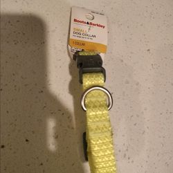 New Boots and Barkley Small Dog Collar