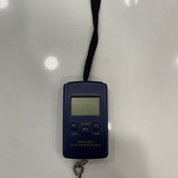 Portable Scale