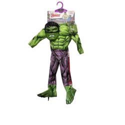 Hulk Kids Costume