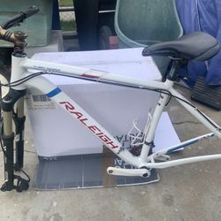Raleigh Frame Only