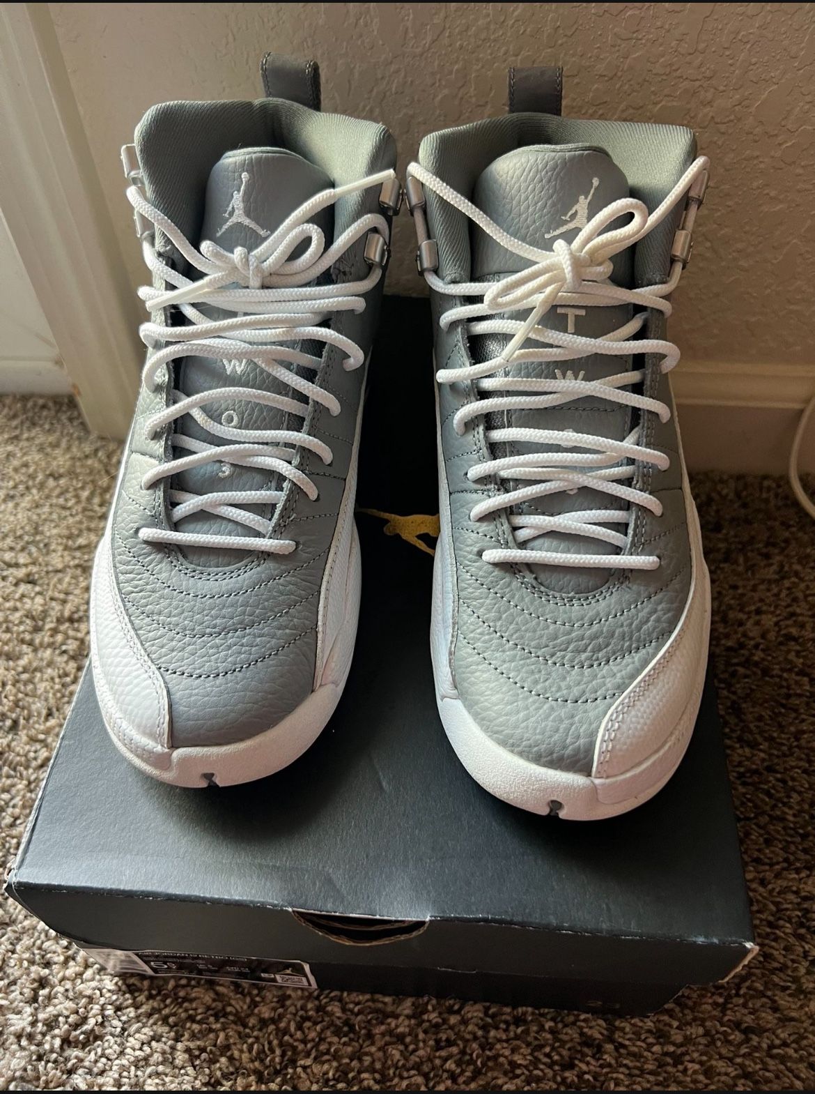 Air Jordan 12