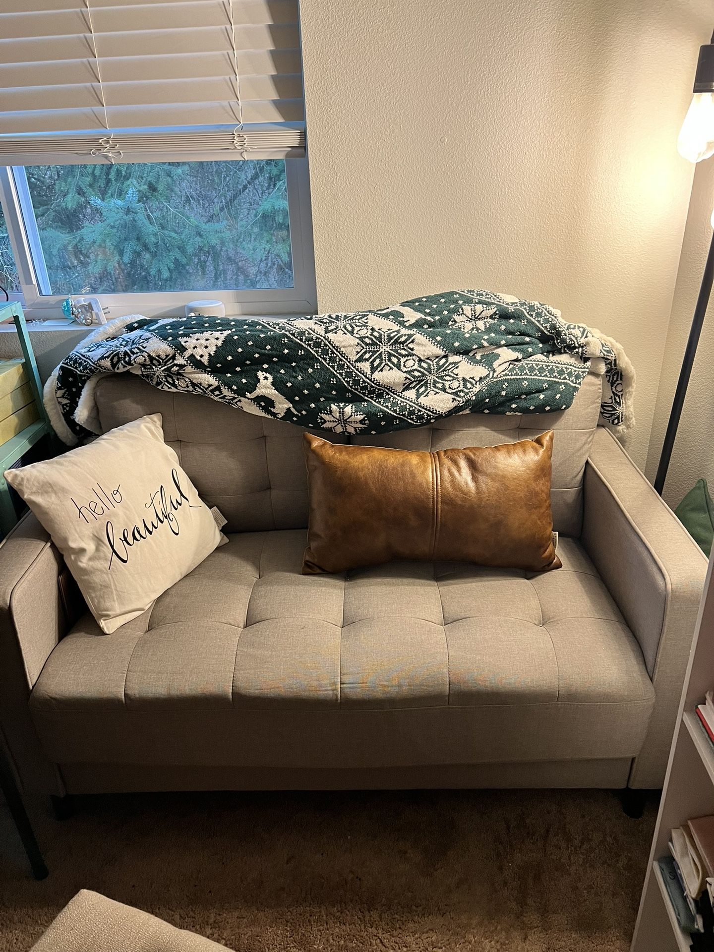 Couch With Brown Leather Pillow