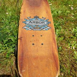 Arbor Bug Longboard Skateboard 