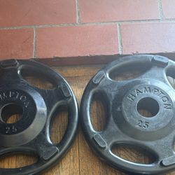 Hampton Brand Olympic Weights 