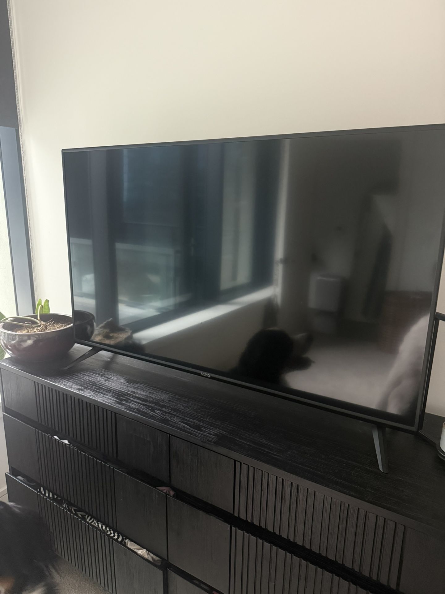 50 inch vizio TV