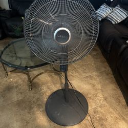 20 in 4 speed oscillating fan