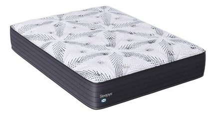 Sleepys by Sealy Plush Queen Mattress
