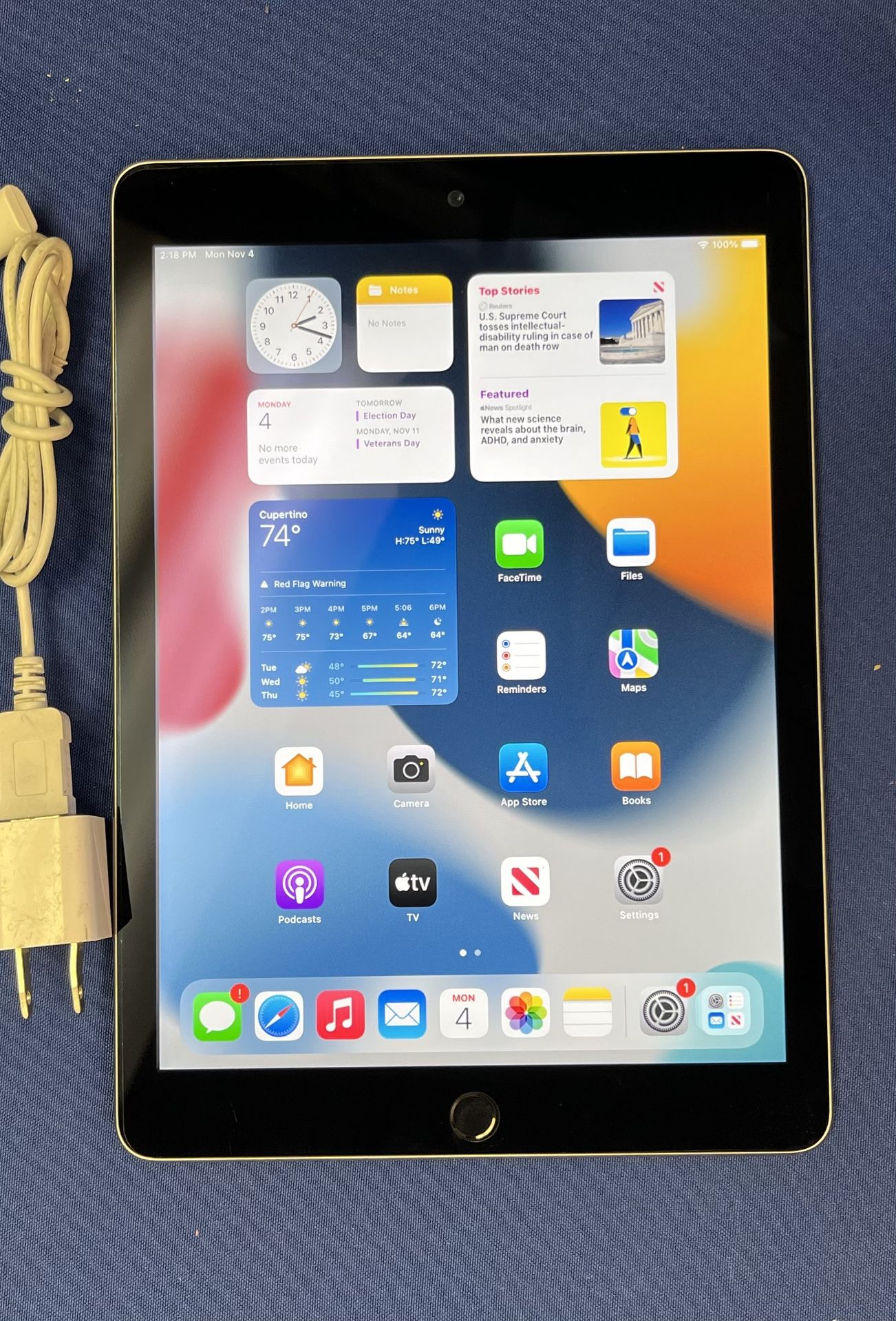 iPad Air 2 16GB - OS 15.8