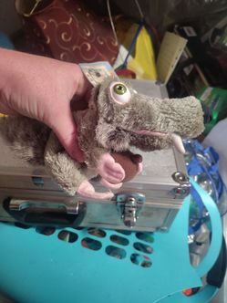 Scrat