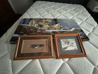 Wolves Pictures