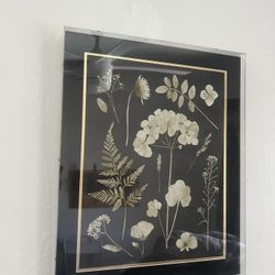 Framed Botanical Print (Black & Gold)