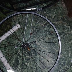 700 Rims For Bike