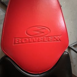 Blaze Bowflex home gym