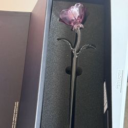 Waterford Crystal Fleurology Pink Rose