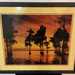 Framed Sunset Landscape Print – Cypress Trees Over Water