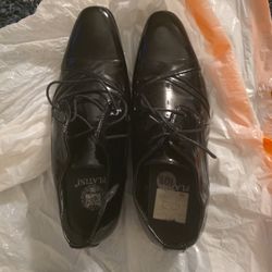 Dress Shoes 