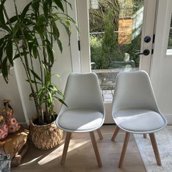Mid century White Chairs 2 or 4 Available 