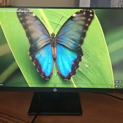 HP P244 23.8-inch LED Full HD 1920x1080 Monitor
